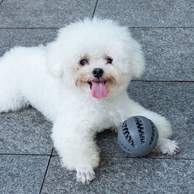 Spielzeug für Hunde Silicone Ball für interaktive Zahnreinigung und Leck-Lebensmittelverteilung