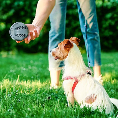 Spielzeug für Hunde Silicone Ball für interaktive Zahnreinigung und Leck-Lebensmittelverteilung