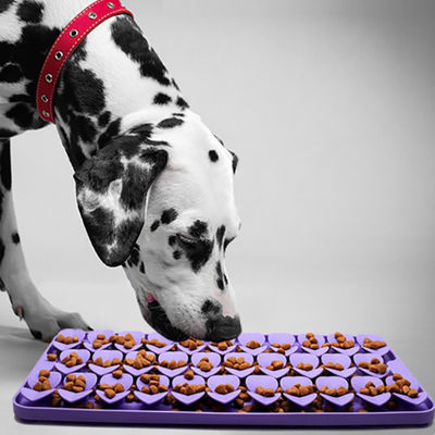 Silikon-Slow Feeders Snuffle Mat Erste Probe für freie Temperaturbeständigkeit -40 bis 250